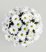 florero-de-condolencias-sencillodetalle